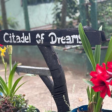 Citadel Of Dreams Ella公寓 外观 照片