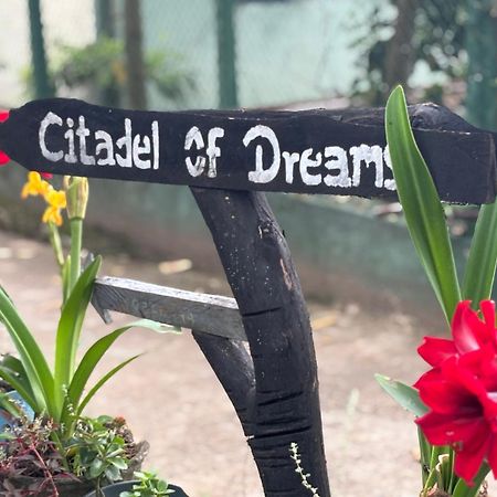 Citadel Of Dreams Ella公寓 外观 照片