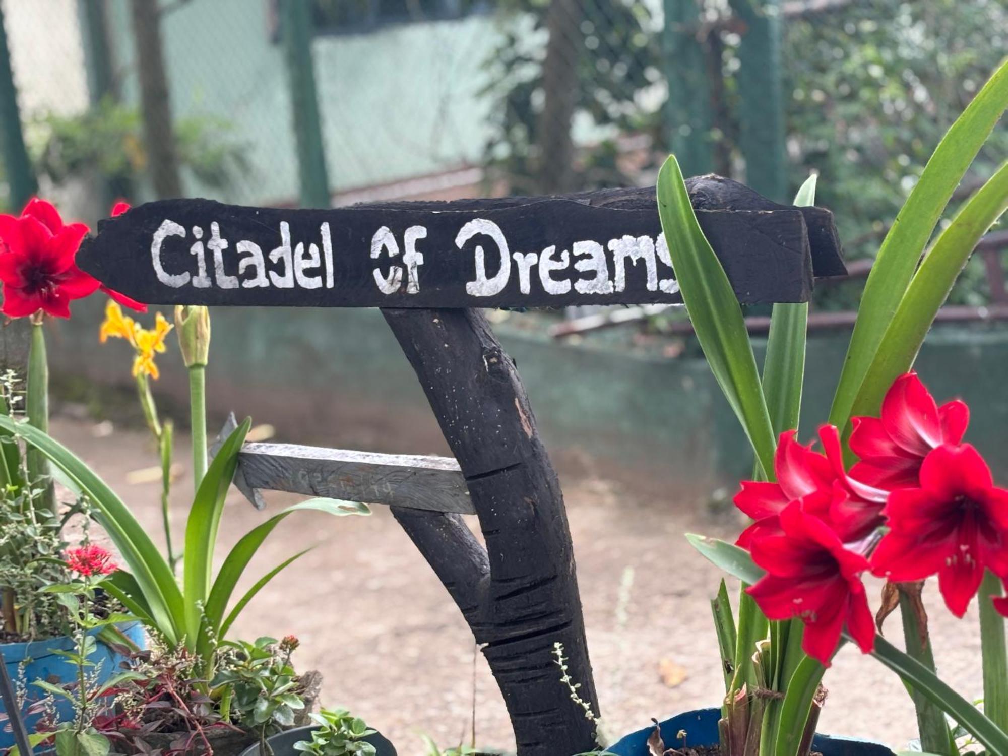 Citadel Of Dreams Ella公寓 外观 照片